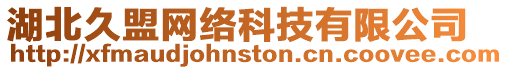 湖北久盟網絡科技有限公司