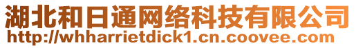 湖北和日通網絡科技有限公司