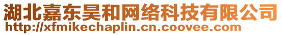 湖北嘉東昊和網絡科技有限公司