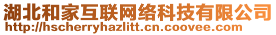 湖北和家互聯網絡科技有限公司