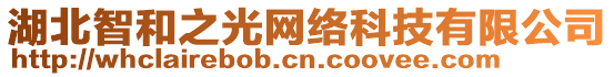 湖北智和之光網(wǎng)絡(luò)科技有限公司