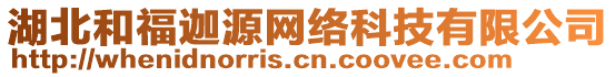 湖北和福迦源網絡科技有限公司