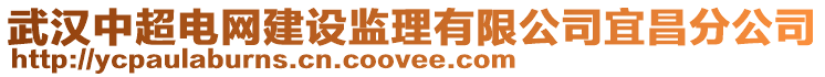 武汉中超电网建设监理有限公司宜昌分公司