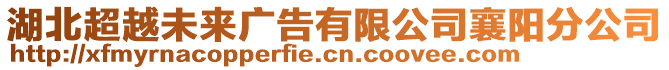 湖北超越未来广告有限公司襄阳分公司