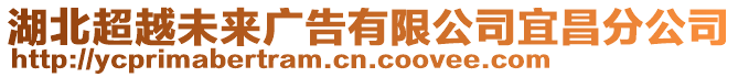 湖北超越未来广告有限公司宜昌分公司