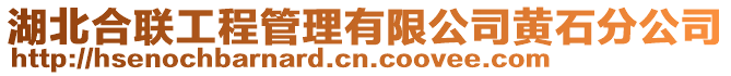 湖北合聯(lián)工程管理有限公司黃石分公司