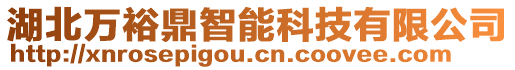 湖北萬裕鼎智能科技有限公司