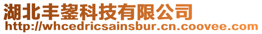 湖北豐鋆科技有限公司