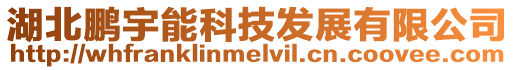 湖北鵬宇能科技發(fā)展有限公司