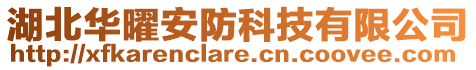 湖北華曜安防科技有限公司