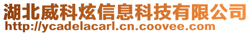 湖北威科炫信息科技有限公司