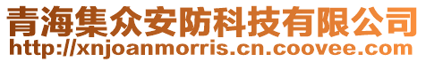 青海集眾安防科技有限公司