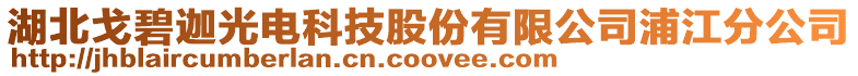 湖北戈碧迦光電科技股份有限公司浦江分公司