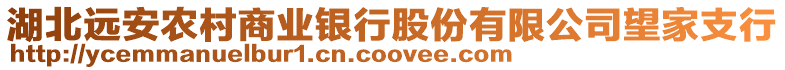 湖北遠安農村商業銀行股份有限公司望家支行