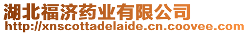 湖北福濟藥業有限公司