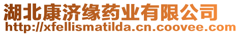 湖北康濟緣藥業有限公司
