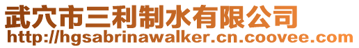 武穴市三利制水有限公司
