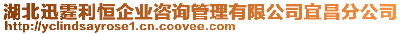 湖北迅霆利恒企業咨詢管理有限公司宜昌分公司