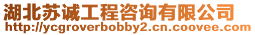 湖北蘇誠工程咨詢有限公司
