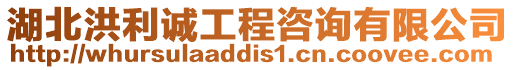 湖北洪利誠(chéng)工程咨詢有限公司