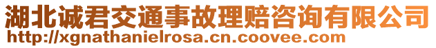 湖北誠(chéng)君交通事故理賠咨詢有限公司