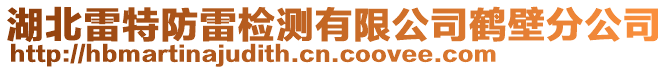 湖北雷特防雷檢測有限公司鶴壁分公司