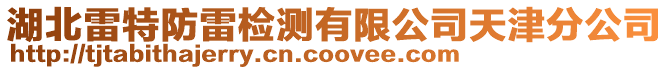 湖北雷特防雷檢測有限公司天津分公司