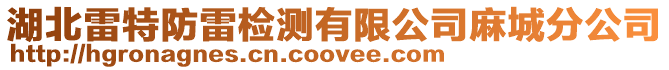 湖北雷特防雷檢測有限公司麻城分公司