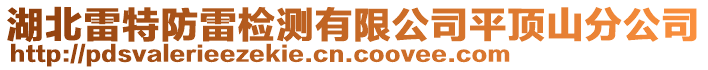 湖北雷特防雷檢測有限公司平頂山分公司
