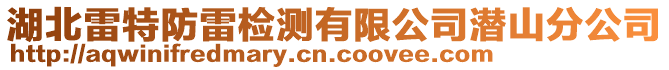 湖北雷特防雷檢測有限公司潛山分公司