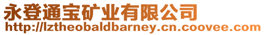 永登通寶礦業(yè)有限公司