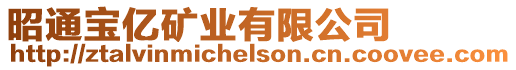 昭通寶億礦業有限公司