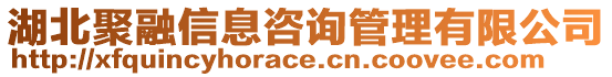 湖北聚融信息咨询管理有限公司