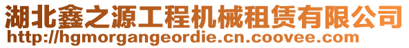 湖北鑫之源工程機(jī)械租賃有限公司