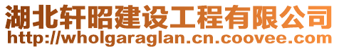 湖北轩昭建设工程有限公司