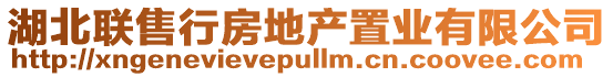 湖北聯(lián)售行房地產(chǎn)置業(yè)有限公司