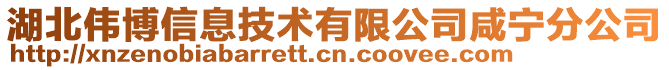 湖北偉博信息技術有限公司咸寧分公司