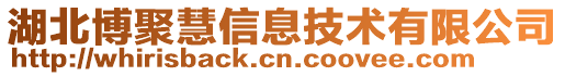 湖北博聚慧信息技術(shù)有限公司