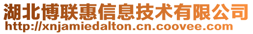 湖北博聯(lián)惠信息技術有限公司