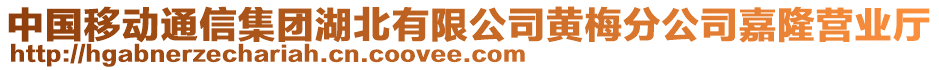 中國(guó)移動(dòng)通信集團(tuán)湖北有限公司黃梅分公司嘉隆營(yíng)業(yè)廳