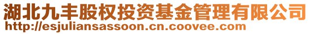 湖北九豐股權(quán)投資基金管理有限公司