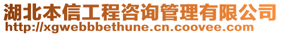 湖北本信工程咨詢管理有限公司