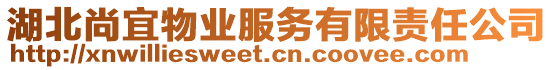 湖北尚宜物業(yè)服務有限責任公司