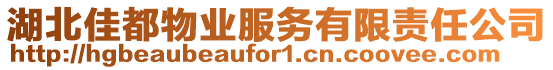 湖北佳都物業(yè)服務(wù)有限責(zé)任公司