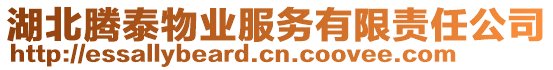 湖北騰泰物業(yè)服務(wù)有限責(zé)任公司