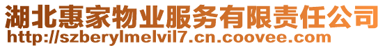 湖北惠家物業(yè)服務(wù)有限責(zé)任公司