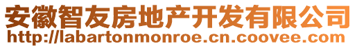 安徽智友房地產(chǎn)開發(fā)有限公司