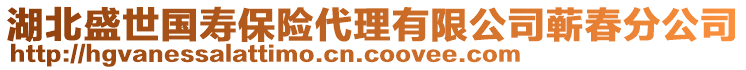 湖北盛世國(guó)壽保險(xiǎn)代理有限公司蘄春分公司