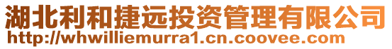 湖北利和捷遠投資管理有限公司