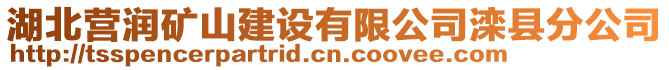 湖北營潤礦山建設有限公司灤縣分公司